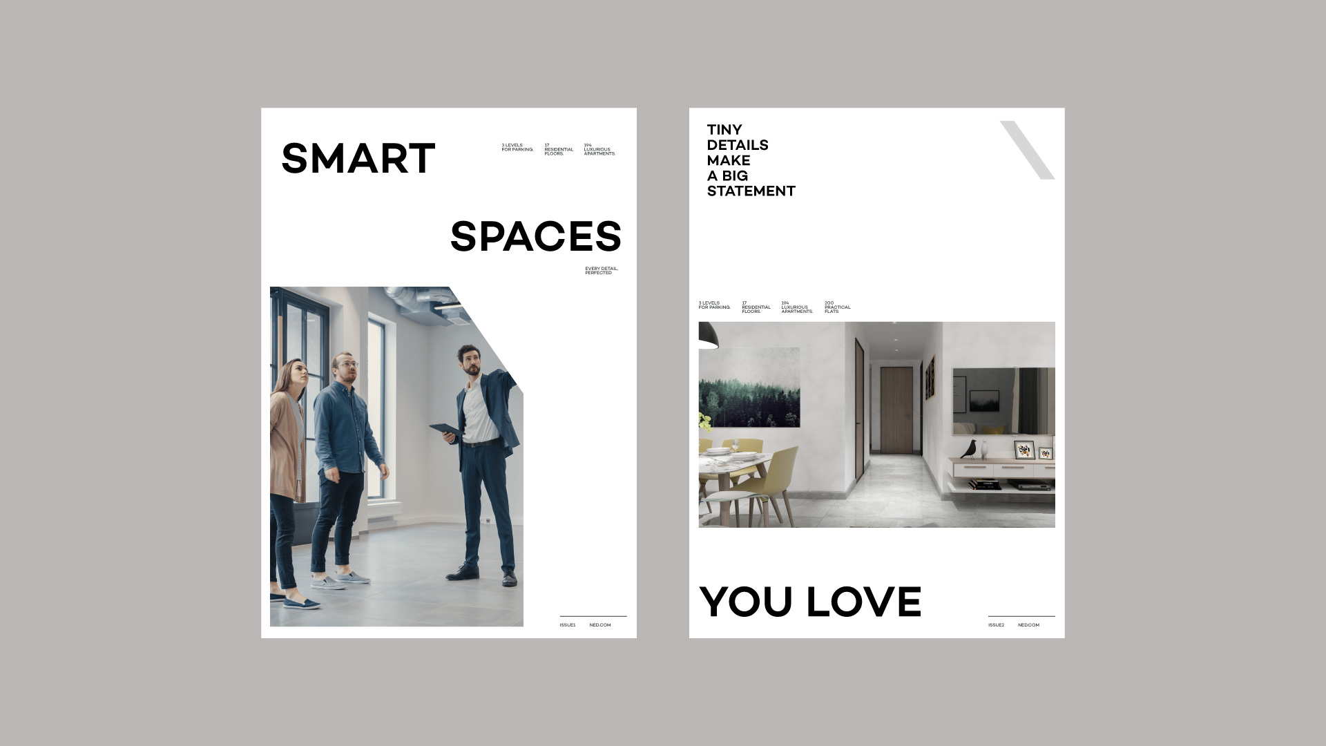 Ned properties visuals