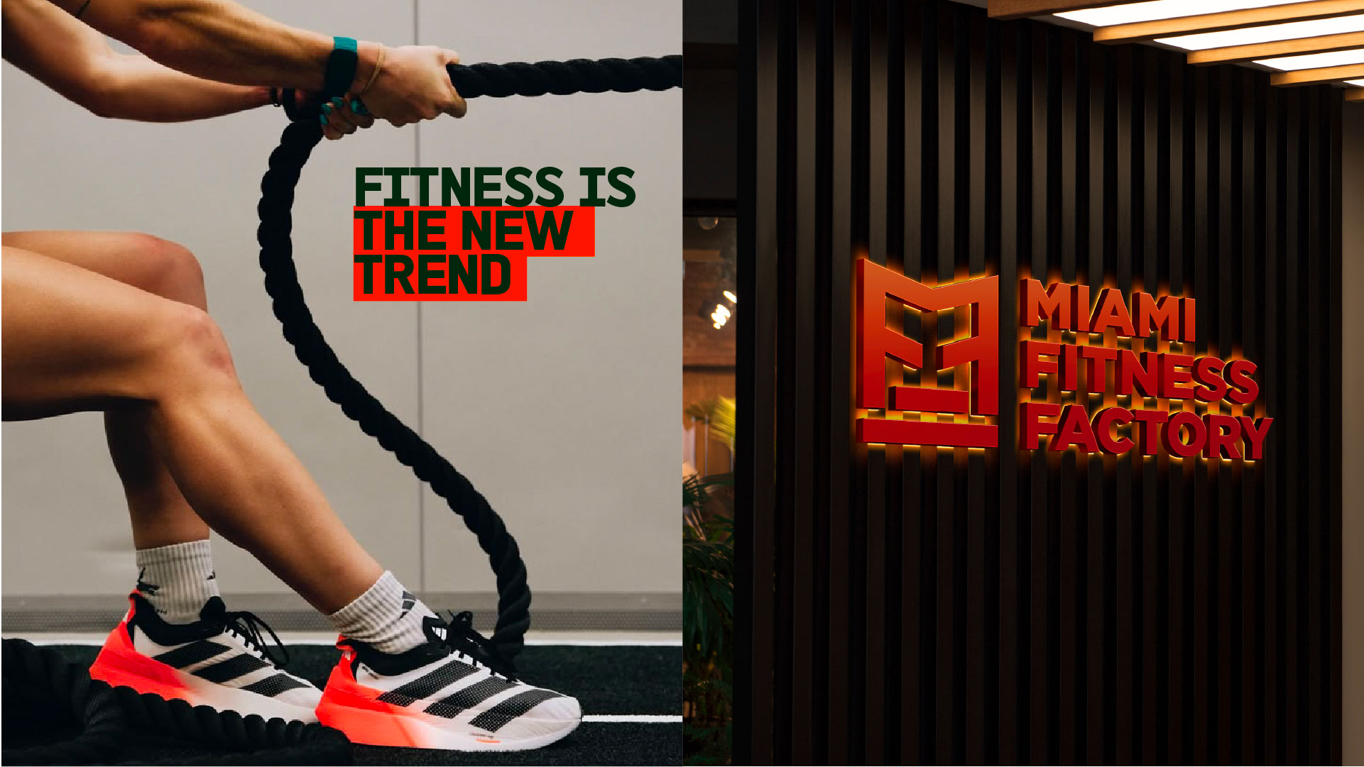 Miami Fitness